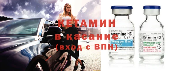 прущие грибы Вязьма