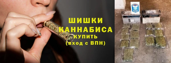 прущие грибы Вязьма