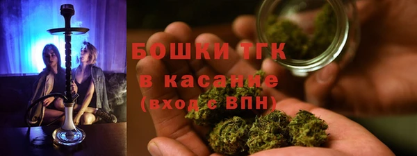 прущие грибы Вязьма