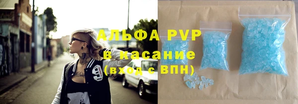 прущие грибы Вязьма