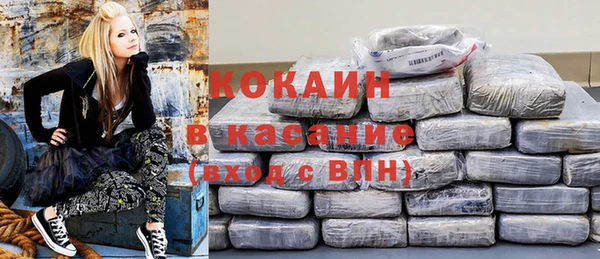 прущие грибы Вязьма