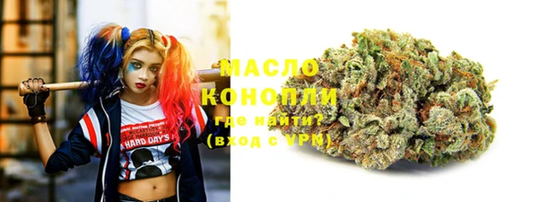 прущие грибы Вязьма